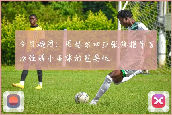 今日趣图：图赫尔回应张路指导言论强调小高球的重要性